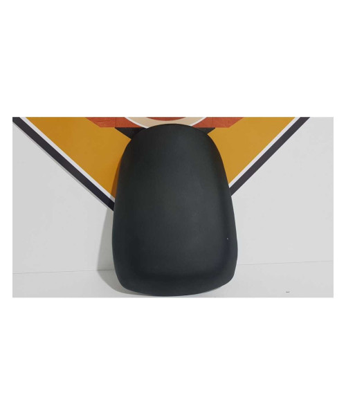 Sea Pasager Kawasaki Ninja ZX9R 1999