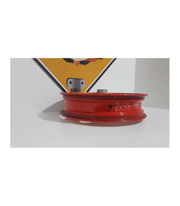 Janta Fata Kawasaki Ninja ZX9R - 1995