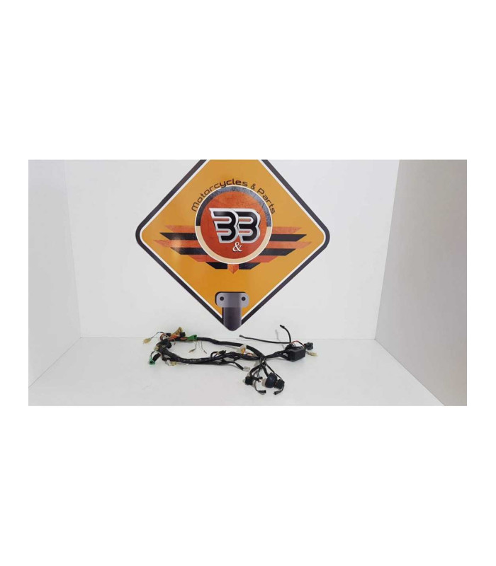 Instalatie Electrica Suzuki XF 650 - Freewind - 1999