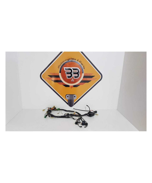 Instalatie Electrica Suzuki XF 650 - Freewind - 1999