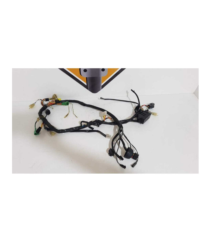 Instalatie Electrica Suzuki XF 650 - Freewind - 1999