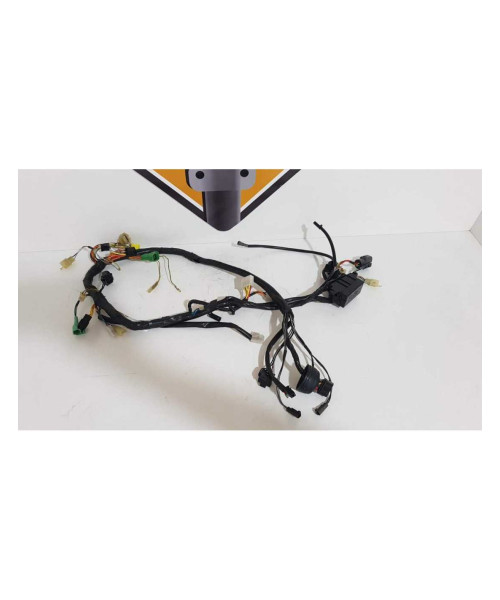 Instalatie Electrica Suzuki XF 650 - Freewind - 1999