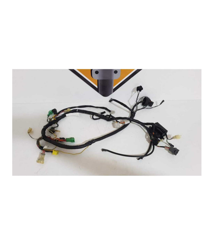 Instalatie Electrica Suzuki XF 650 - Freewind - 1999