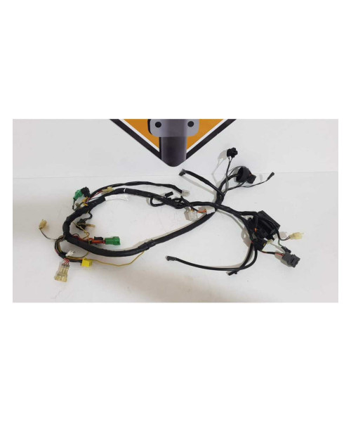 Instalatie Electrica Suzuki XF 650 - Freewind - 1999