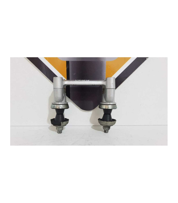 Riesere Suzuki XF 650 - Freewind - 1999