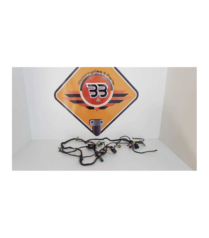 Instalatie Electrica Suzuki GSF 600S - Bandit - 1999