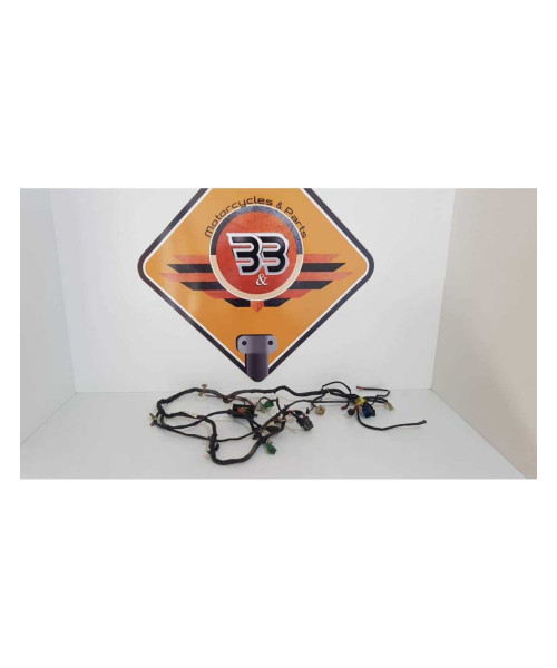 Instalatie Electrica Suzuki GSF 600S - Bandit - 1999