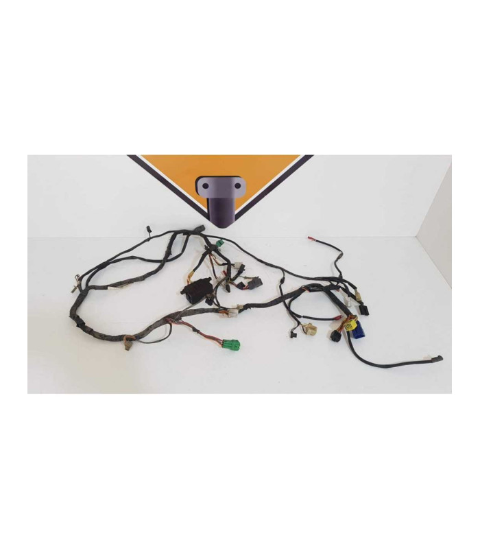 Instalatie Electrica Suzuki GSF 600S - Bandit - 1999