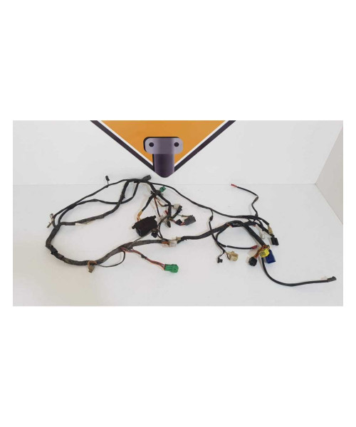 Instalatie Electrica Suzuki GSF 600S - Bandit - 1999