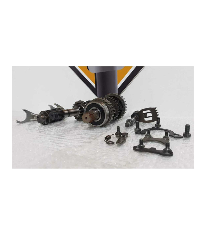 Cutie Viteza Suzuki XF 650 - Freewind - 1999