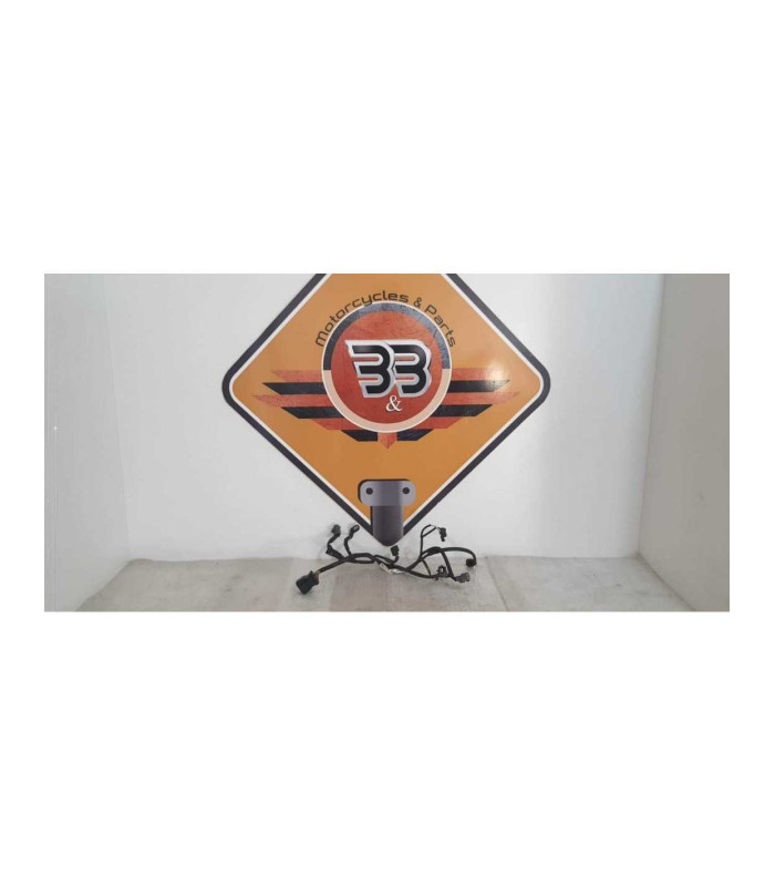 Instalatie Electrica Rampa Injectie Honda DN 01 - NSA 700A - 2008