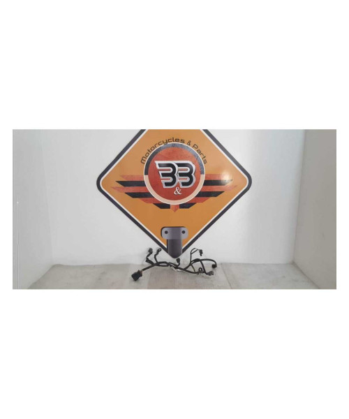 Instalatie Electrica Rampa Injectie Honda DN 01 - NSA 700A - 2008