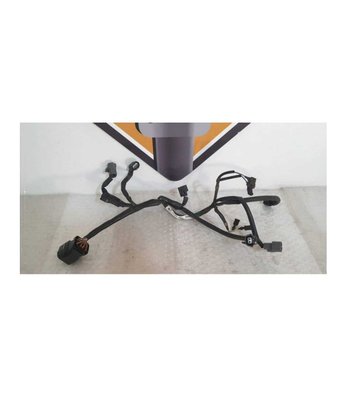 Instalatie Electrica Rampa Injectie Honda DN 01 - NSA 700A - 2008