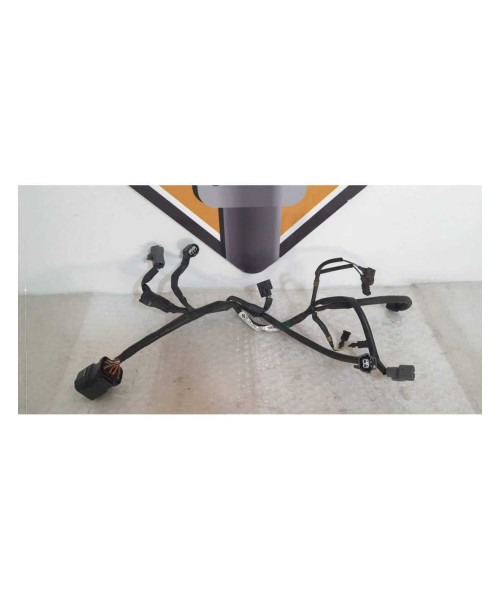 Instalatie Electrica Rampa Injectie Honda DN 01 - NSA 700A - 2008