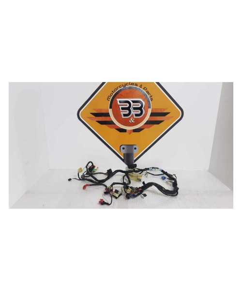 Instalatie Electrica Honda CBF 600 NA - HORNET - PC 38F - 2005