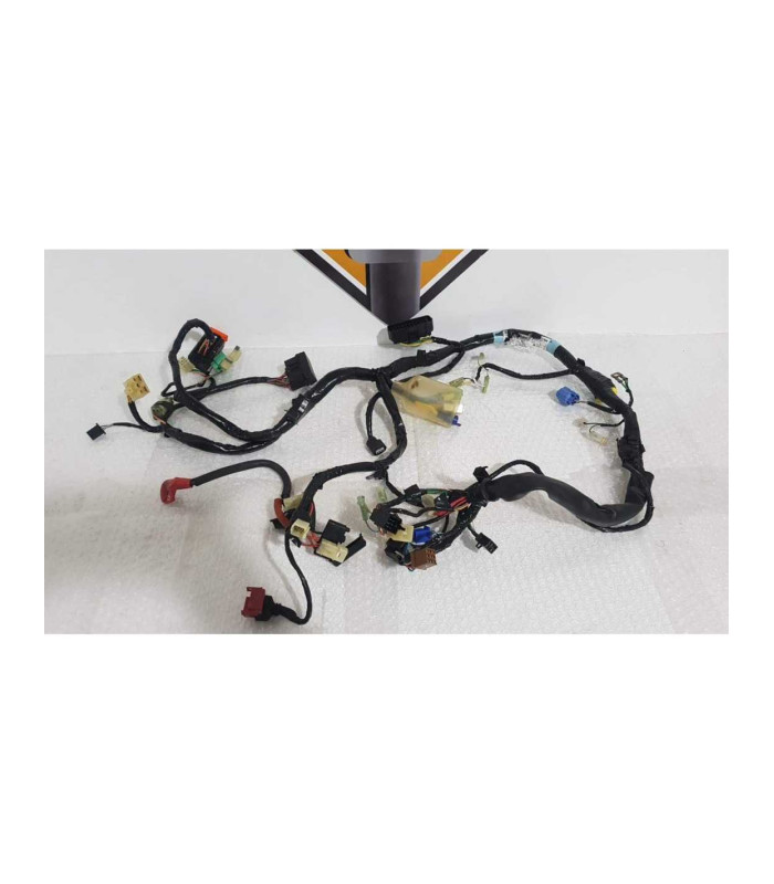 Instalatie Electrica Honda CBF 600 NA - HORNET - PC 38F - 2005