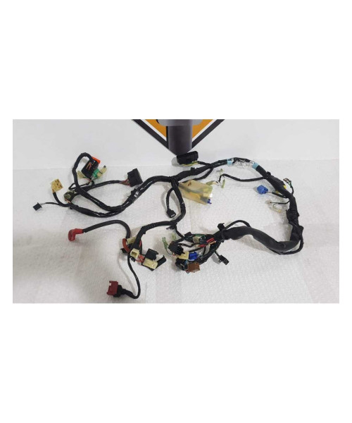 Instalatie Electrica Honda CBF 600 NA - HORNET - PC 38F - 2005