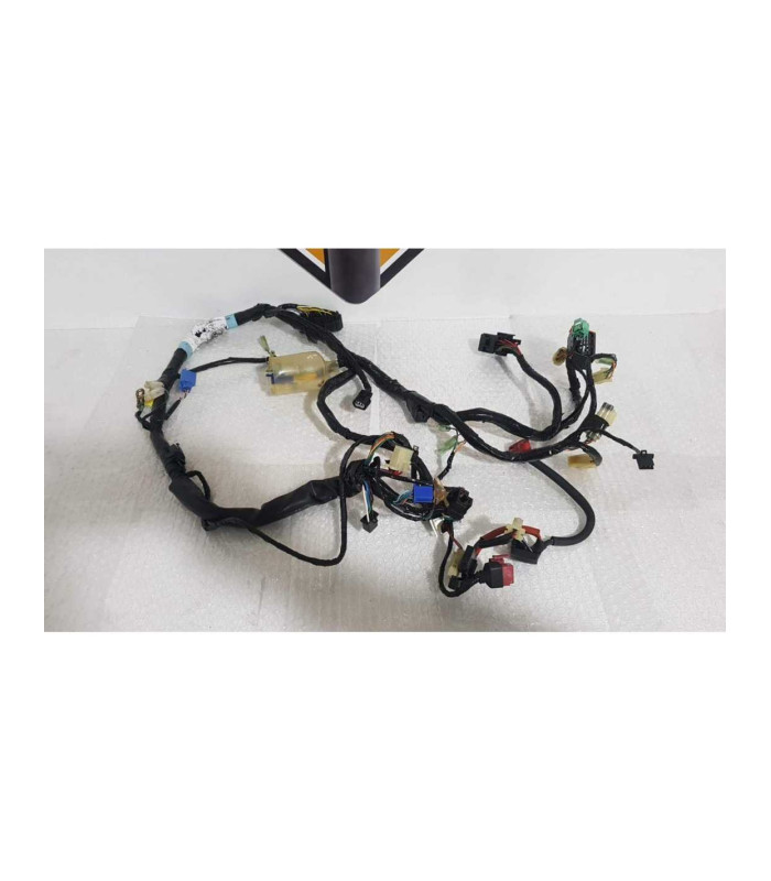 Instalatie Electrica Honda CBF 600 NA - HORNET - PC 38F - 2005
