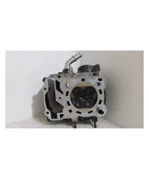 Chiuloasa Fata Completa Honda DN 01 NSA 700A 2008