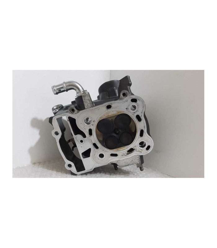 Chiuloasa Spate Completa Honda DN 01 - NSA 700A - 2008