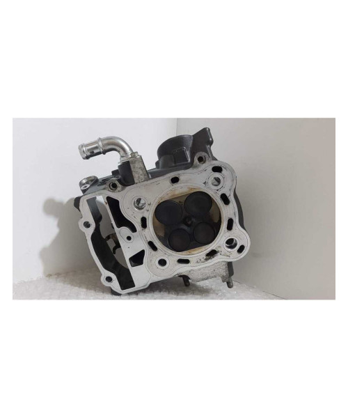 Chiuloasa Spate Completa Honda DN 01 - NSA 700A - 2008