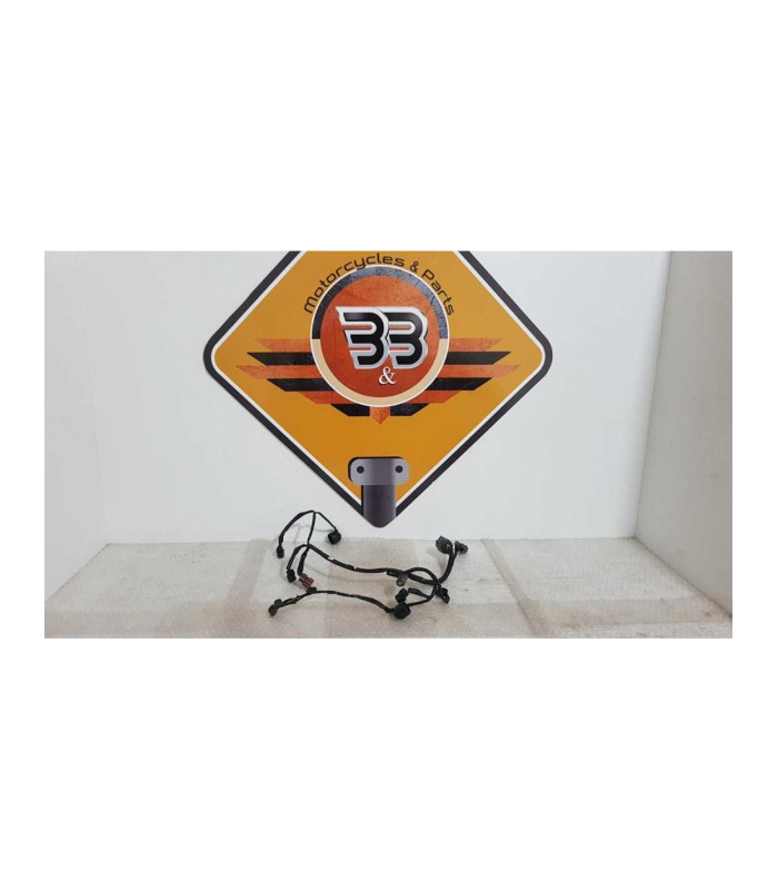 Instalatie Electrica Motor Honda DN 01 - NSA 700A - 2008