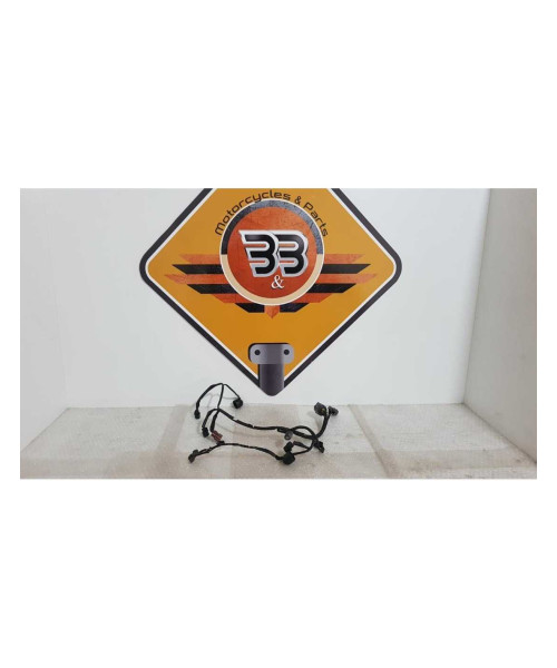 Instalatie Electrica Motor Honda DN 01 - NSA 700A - 2008