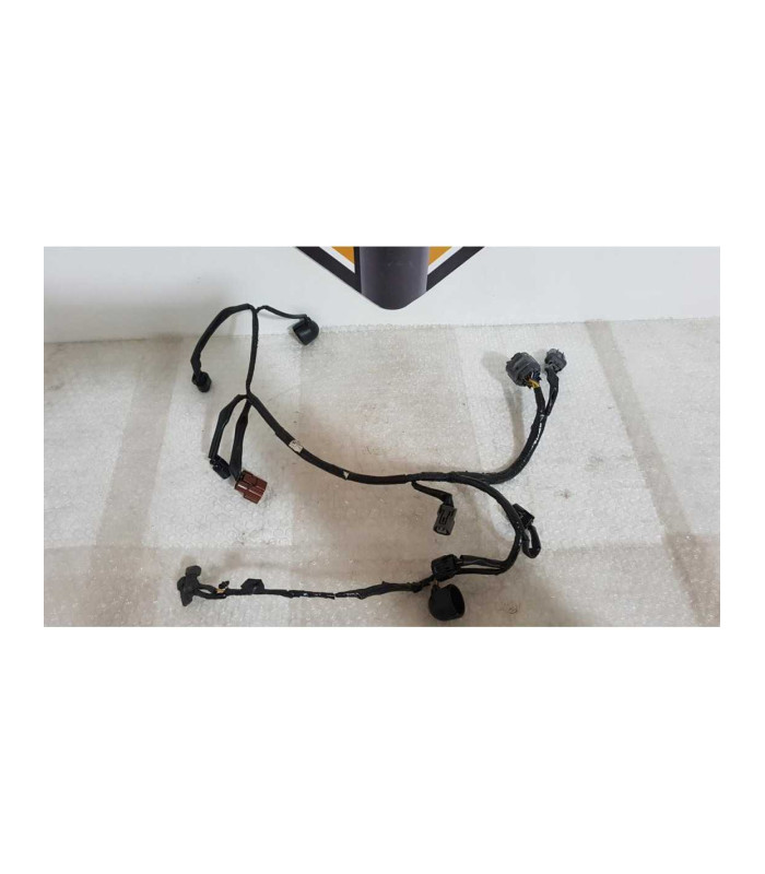 Instalatie Electrica Motor Honda DN 01 - NSA 700A - 2008