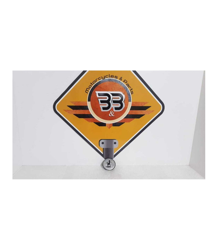 Buson Rezervor Si Cheie Honda CB 600F Hornet PC 34 2001