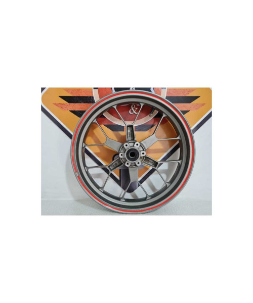 Janta Fata Aprilia RS 125 - 2008