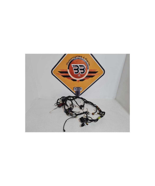 Instalatie Electrica Aprilia Shiver 750 - 2008