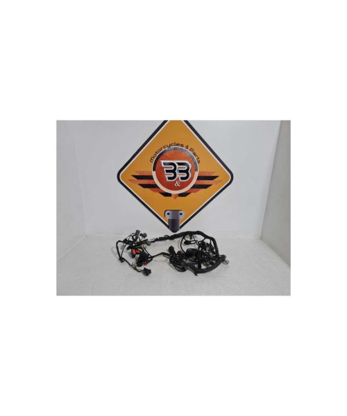 Instalatie Electrica Kawasaki Z 750 - 2010