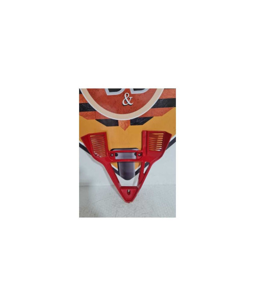 Carena Radiator Ducati 749 S - 2004