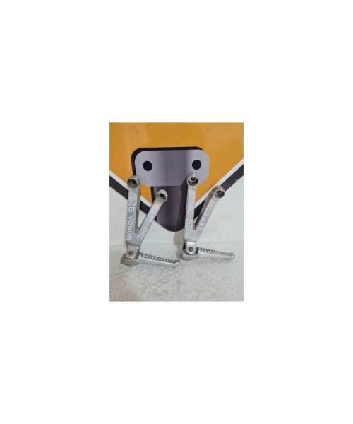 Ansamblu Scarita Stanga Pasager Honda 929 - SC 44 - 2001