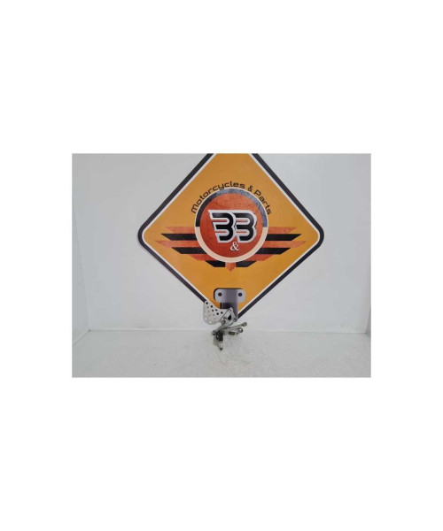 Ansamblu Scarita Dreapta Pilot Honda 954 - SC 50 - 2003