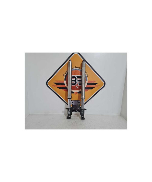 Telescoape Honda 954 - SC 50 - 2003