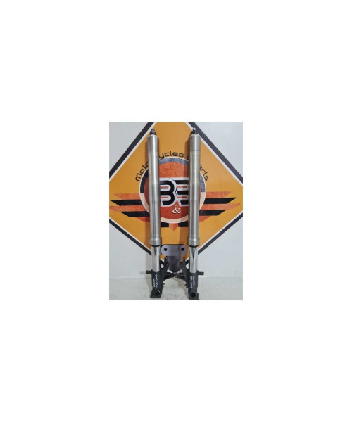 Telescoape Honda 954 - SC 50 - 2003