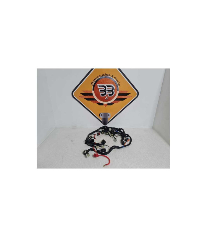 Instalatie Electrica Yamaha FAZER - FZ 1 - 2008