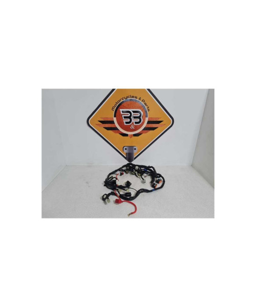 Instalatie Electrica Yamaha FAZER - FZ 1 - 2008