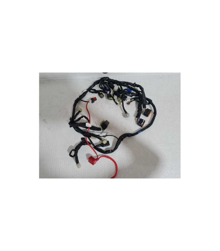 Instalatie Electrica Yamaha FAZER - FZ 1 - 2008