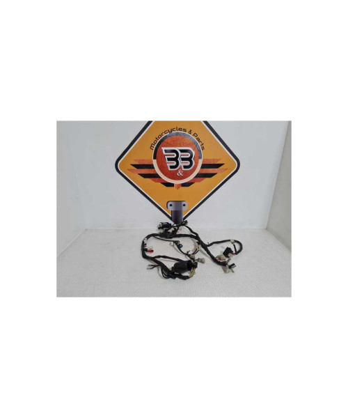 Instalatie Electrica Yamaha FAZER - FZ 6 - 2008