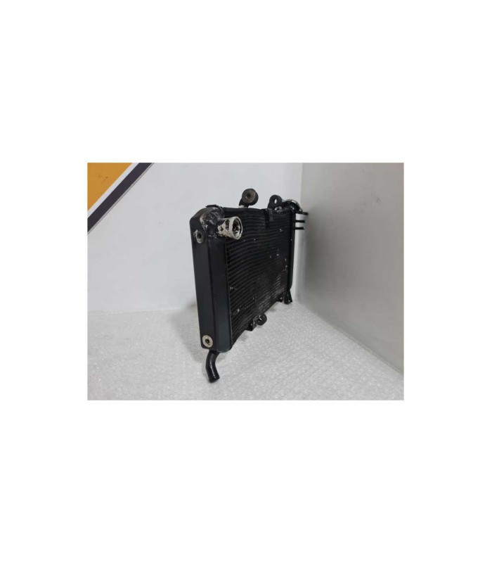 Radiator Yamaha FAZER - FZ 6 - 2008