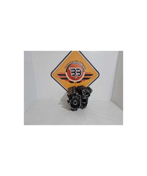 Cartere Motor & Cilindri Yamaha FAZER - FZ 6 - 2008