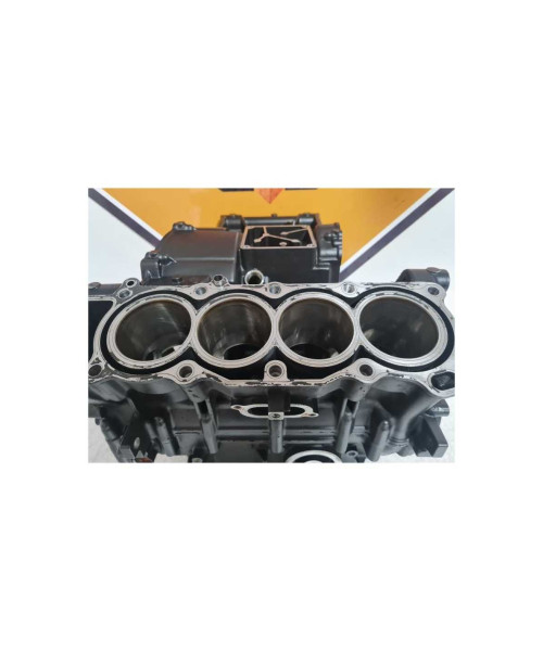 Cartere Motor & Cilindri Yamaha FAZER - FZ 6 - 2008