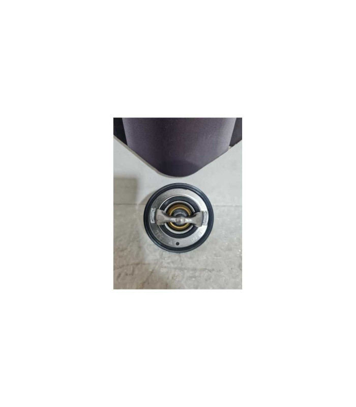 Termostat Yamaha FAZER - FZ 6 - 2008