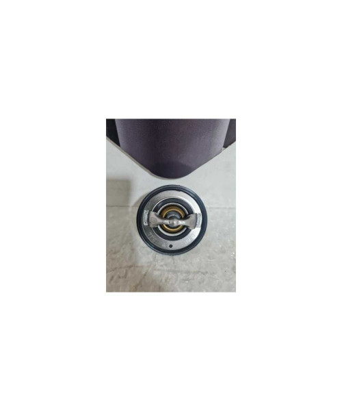 Termostat Yamaha FAZER - FZ 6 - 2008