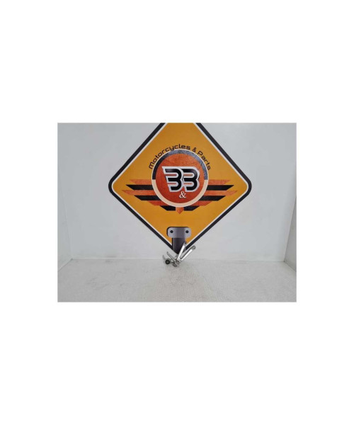 Ansamblu Scarita Dreapta Pasager Yamaha YZF R1 - RN 01 - 2000