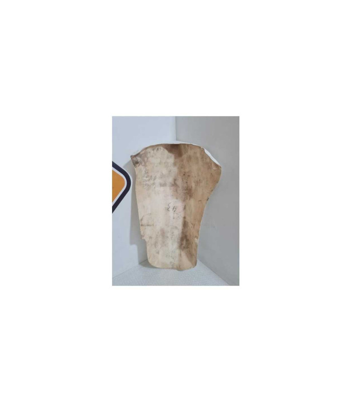 Bugspoiler / Belly Pan Honda CB 900 - Hornet - 2003