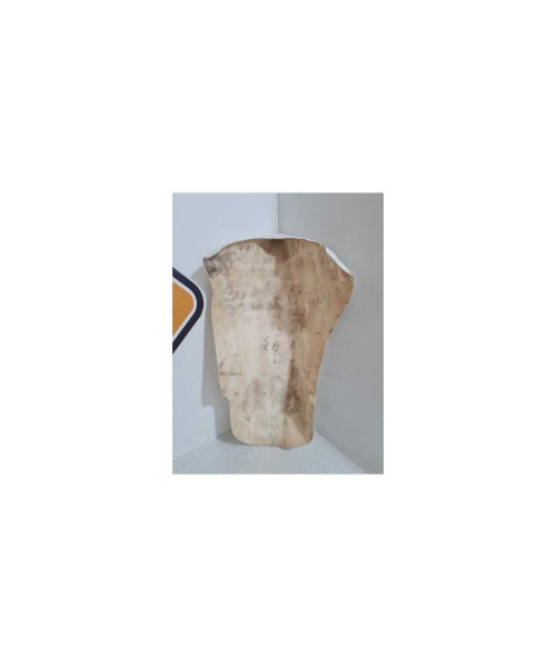 Bugspoiler / Belly Pan Honda CB 900 - Hornet - 2003