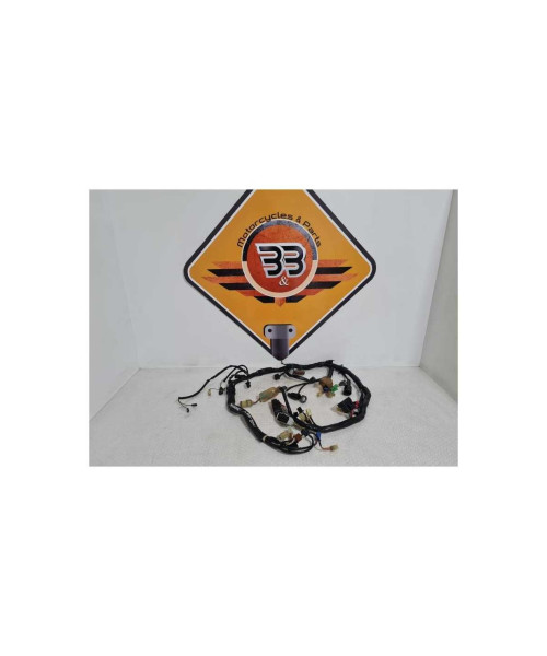 Instalatie Electrica Honda CB 900 - Hornet - 2003